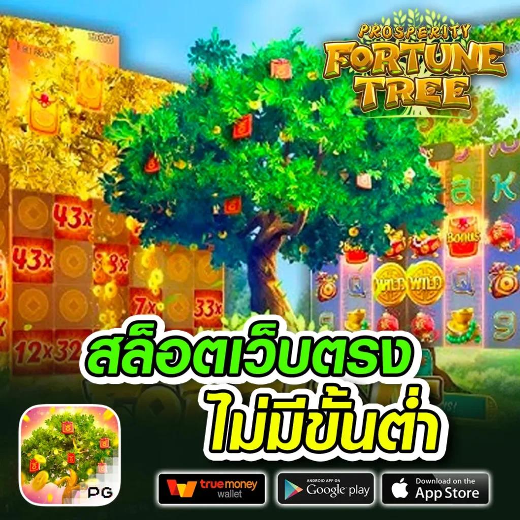 kimchibet เว็บตรง สล็อต ฝากถอนออโต้ ไม่ผ่านเอเย่นต์ 2026